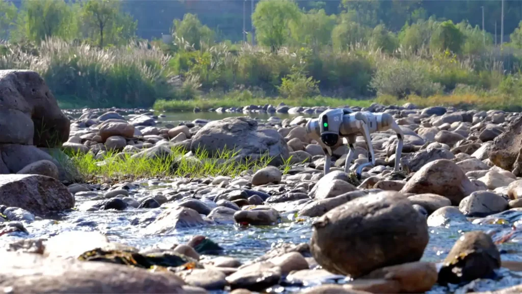 Robot Unitree Go2 progressant sur les galets d'une rivière